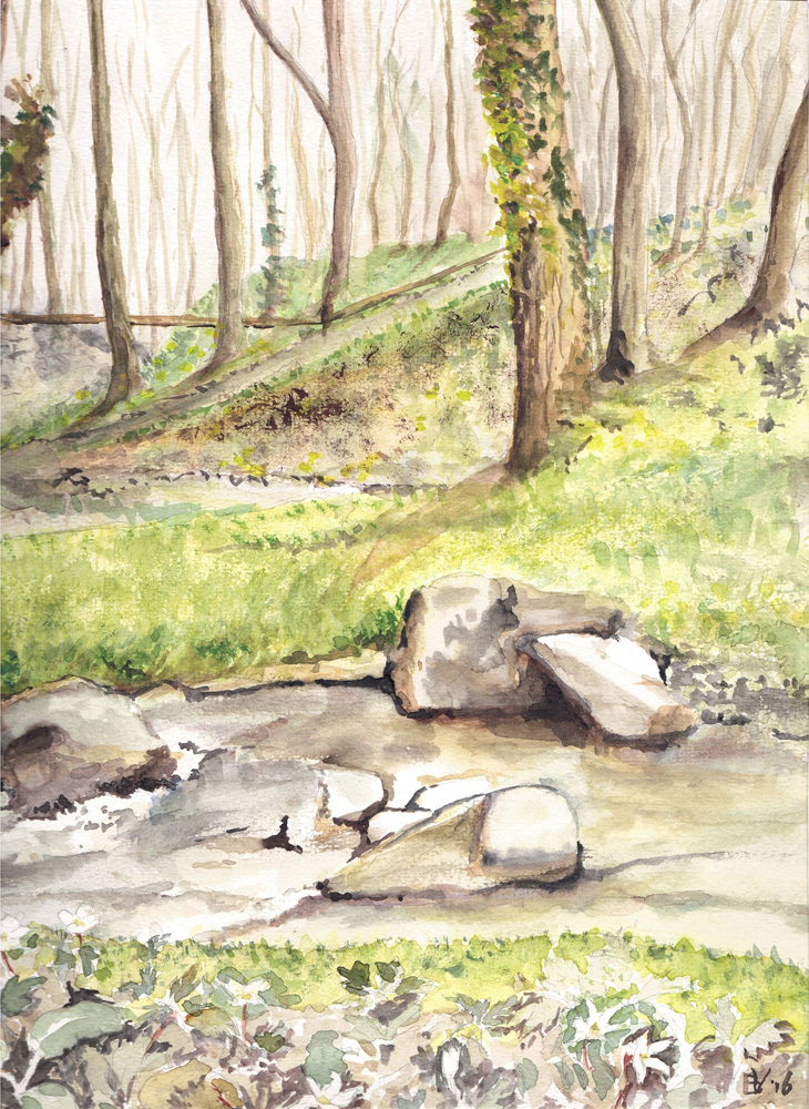 River Somme with anemones